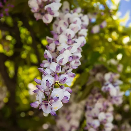 Couette-café Casa Carrer