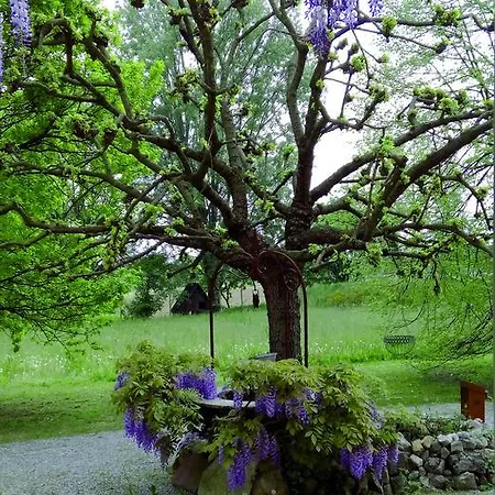Couette-café Casa Carrer 3*